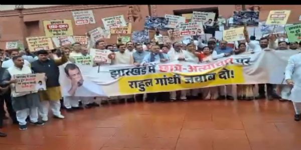 मकर द्वार पर प्रदर्शन करते राजग सांसद मकर द्वार पर प्रदर्शन करते राजग सांसद