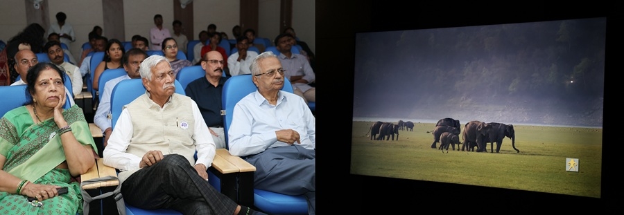 विश्व ऐलीफेंट दिवस पर ऐलिफेंट फिल्म का प्रदर्शन