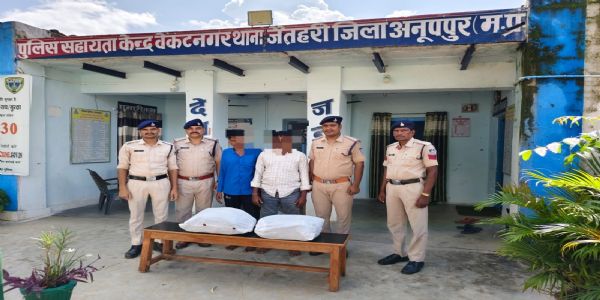 अनूपपुर: स्थानीय बाजार में बेचने उड़ीसा से आया 14 किलो गांजा जब्त, 3 तस्करों पकडायें, भेजा जेल