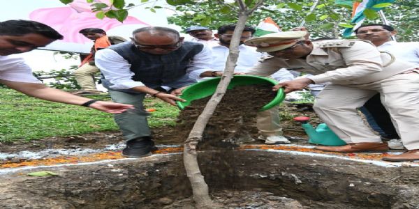 इर्रा में वन महोत्सव, 2800 पौधों का रोपण कर दिया पर्यावरण संरक्षण का संदेश