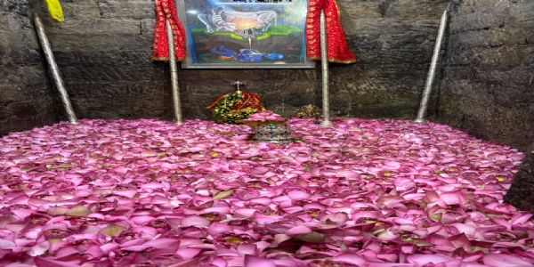 मंडी में कमलासन पर विराजे बाबा भूतनाथ : 1100 कमल के फूलों से हुआ भव्य श्रृंगार