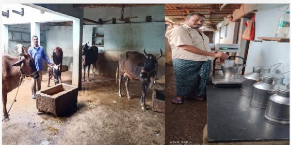 डेयरी उद्यमिता से अंगेश्वर कुर्रे बने आत्मनिर्भरता की मिसाल, रोज 35 से 40 लीटर दूध उत्पादन