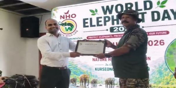 विश्व हाथी दिवस पर वन विभाग का बड़ा लक्ष्य, मानव-हाथी संघर्ष को शून्य करने पर जोर