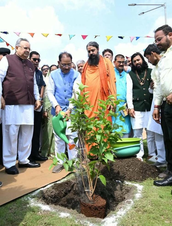 लोक पर्व हरेली तिहार लोक पर्व हरेली तिहार