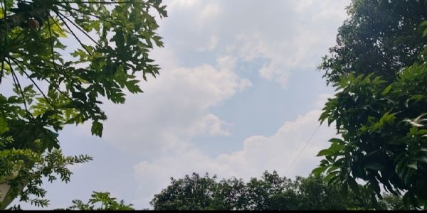 देहरादून मौसम। देहरादून मौसम।