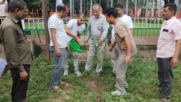 पौधा रोपड़ करते हुए संस्था के लोग पौधा रोपड़ करते हुए संस्था के लोग
