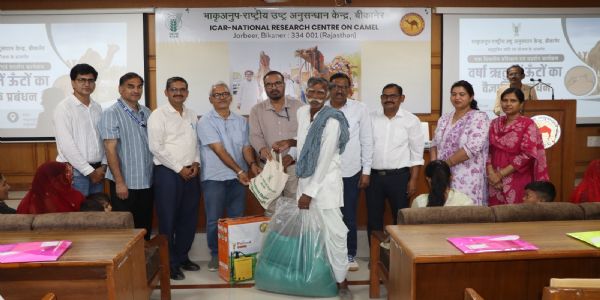 ग्रामीण परिवारों की आजीविका का महत्वपूर्ण आधार है पशुधन