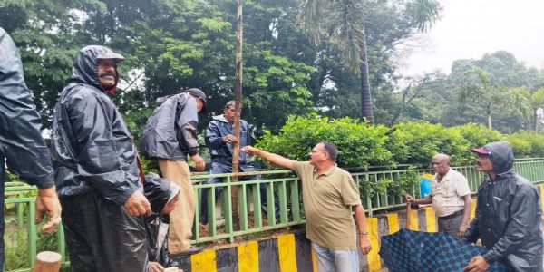 घंटाघर से महाराणा प्रताप चौक मार्ग पर हुआ वृक्षारोपण, हरित कोरबा के संकल्प को मिली नई गति