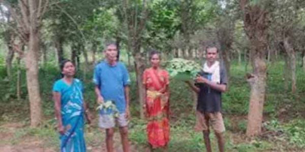 रेशम हितग्राहियों को मिली 1.40 लाख रुपये की शासकीय सब्सिडी