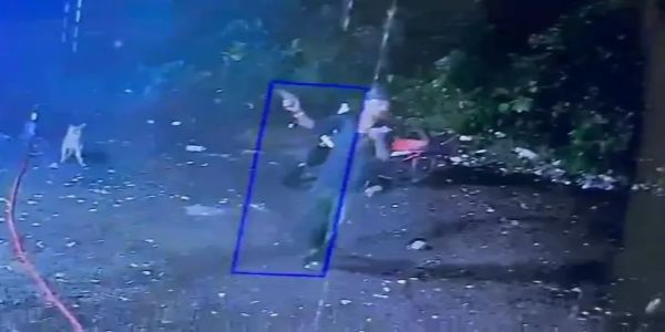गेरवानी शराब दुकान में फायरिंग, गार्ड घायल