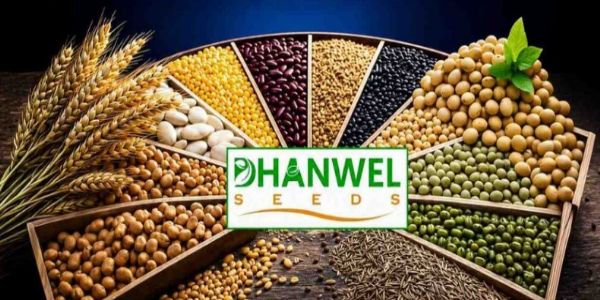 प्रतीकात्मक प्रतीकात्मक