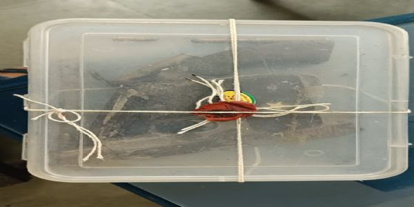 20 साल से कम आयु के तीन युवक पकड़े, दो देशी कट्टे व चार जिंदा कारतूस बरामद, एक नाबालिग भी निरुद्ध