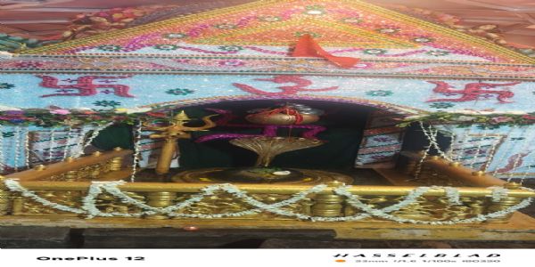 बड़ी संख्या में भक्तों ने बाबा आम्रेश्वर धाम में किया भोलेनाथ का जलाभिषेक