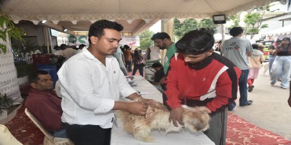 जयपुर में एक दिन में 2 हजार से अधिक पेट्स का पंजीकरण, 32 वर्गफीट का 