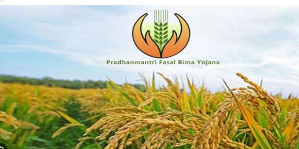 प्रधानमंत्री फसल बीमा योजना के लिए पंजीकरण की अंतिम तिथि 31 अगस्त तक बढ़ी