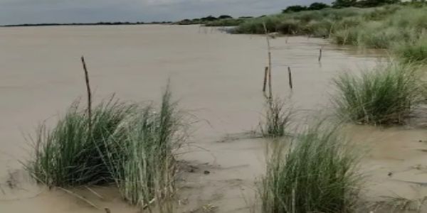 भागलपुर में गंगा और कोसी नदी में उफान, गोपालपुर और नवगछिया में तेजी से बढ़ा जलस्तर, तटबंधों के 