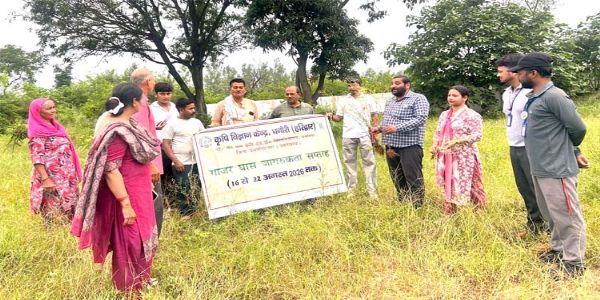 गाजर घास से मानव और पशु स्वास्थ्य को खतरा