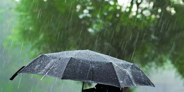 मध्य प्रदेश के 14 जिलों में आज भारी बारिश की चेतावनी, नर्मदापुरम-जबलपुर और चंबल संभाग में रहेगा ज्यादा असर