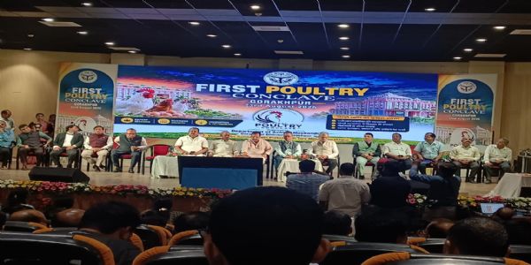 ग्रामीण अर्थव्यवस्था को मजबूत बना सकता है पोल्ट्री उद्योग : डॉ. धर्मेंद्र सिंह