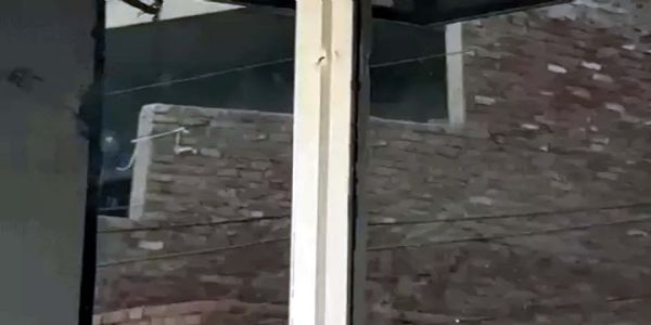 हिसार में नकाबपाेशाें ने महिला पर तानी बंदूक, विरोध में युवक पर चलाई गोली