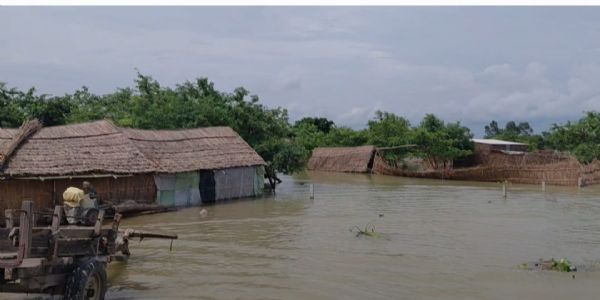 खतरे के निशान पर पहुंचा गंगा का जल स्तर, बाढ़ चौकिया अलर्ट