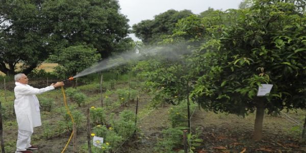 प्राकृतिक खेती ही धरती और पर्यावरण की रक्षा का सर्वोत्तम विकल्प : राज्यपाल