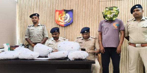 पांडुआ में गांजे के अवैध कारोबार का भंडाफोड़, भारी मात्रा में गांजा बरामद