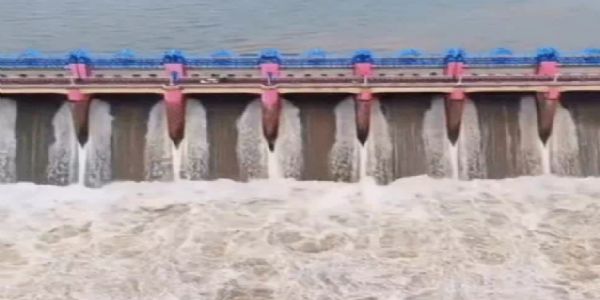 बेतवा समेत कई नदियां उफान पर, बांधों के गेट खोले गए,गांवों में अलर्ट
