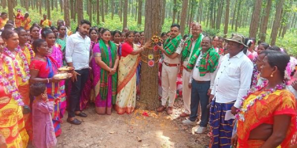 सुनसुनिया जंगल में पेड़ों को बांधी राखी, प्रकृति संरक्षण का लिया संकल्प
