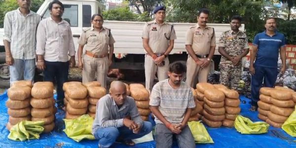 ऑपरेशन आघात में जशपुर पुलिस की बड़ी कार्रवाई, 520 किलो गांजा जब्त