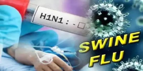 छत्तीसगढ़ में स्वाइन फ्लू छत्तीसगढ़ में स्वाइन फ्लू