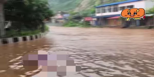 भारी बारिश से गुवाहाटी के कई इलाके जलमग्न, कृत्रिम बाढ़ जैसे हालात