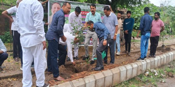 व्यापारियों ने जिलाधिकारी के साथ किया पौधारोपण
