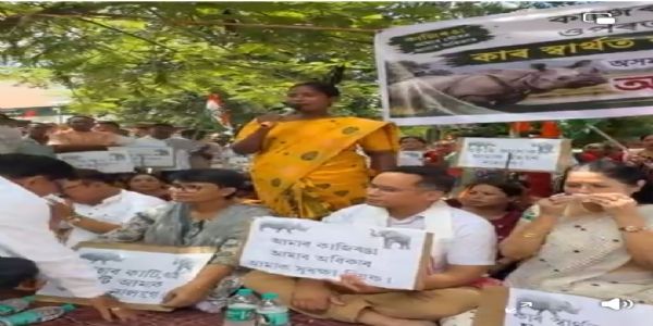 काजीरंगा को खत्म करने वाली कांग्रेस का संरक्षण के लिए प्रदर्शन करना शर्मनाक : स्थानीय लोग