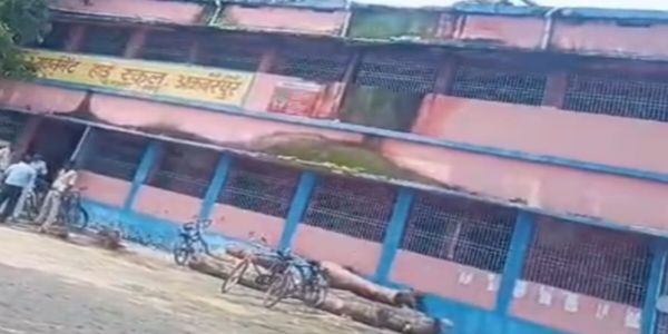 इंटर स्कूल में  काटे गए लाखों के हरे पेड़, कार्रवाई की मांग