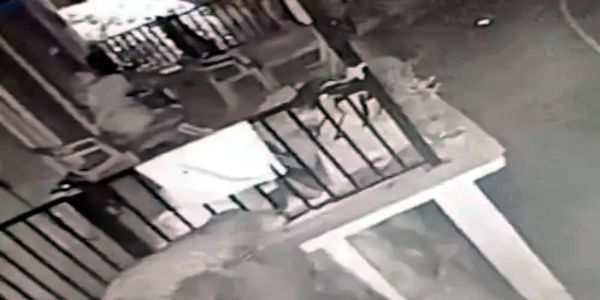 घर में घुसा गुलदार, पुटगांव में दहशत