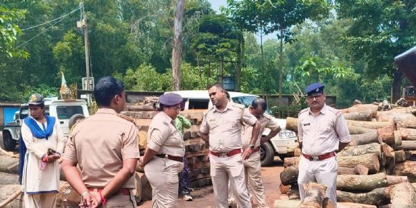 सांकराइल में वन विभाग की बड़ी कार्रवाई, अवैध आरा मिलों पर कसा शिकंजा