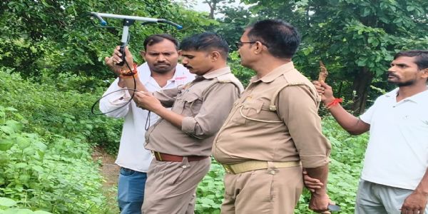 मध्य प्रदेश से भटककर मीरजापुर पहुंचे गजराज, गर्भवती हथिनी के साथ जंगल में डाला डेरा
