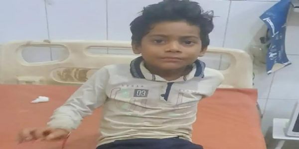 घर के बाहर खेल रहे बच्चे पर कुत्तों ने बोला हमला, कई जगह दिये गहरे जख्म