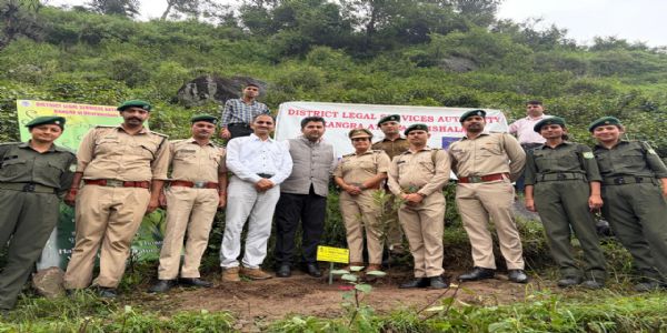 विधिक सेवा प्राधिकरण ने किया पौधरोपण