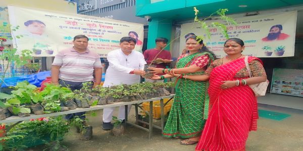 आचार्य बालकृष्ण के जन्मदिवस पर कोरबा में मनाया गया जड़ी-बूटी दिवस, 37 प्रकार के औषधीय पौधों का निःशुल्क वितरण