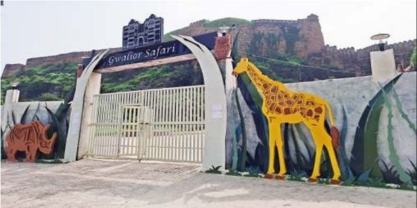 कचरे के ढेर से वंडरलैंड तक : ग्वालियर सफारी की अनूठी कहानी