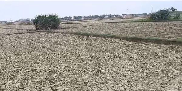 नाली पर अतिक्रमण से सूखे पड़े सैकड़ों एकड़ खेत, पानी न मिलने से धान की रोपाई ठप