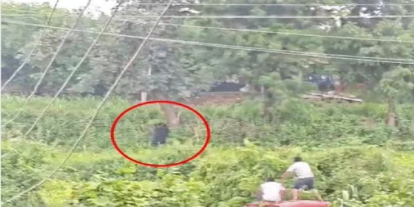 पालनपुर के हसनपुर गांव में रीछ का आतंक, घर में घुसकर किया हमला, 5 लोग घायल