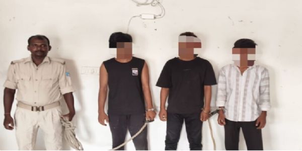एक्सयूवी से बकरी चोरी करने वाले तीन युवक गिरफ्तार, तीन बकरियां बरामद