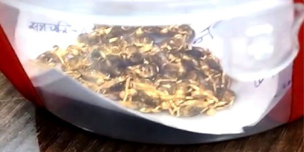 महिला से चेन छिनतई का खुलासा, दो अपराधी गिरफ्तार