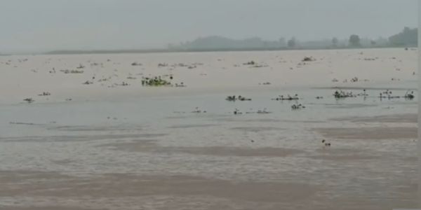 गंगा-यमुना का जलस्तर बढ़ा, प्रशासन अलर्ट; एनडीआरएफ तैनात : जिलाधिकारी