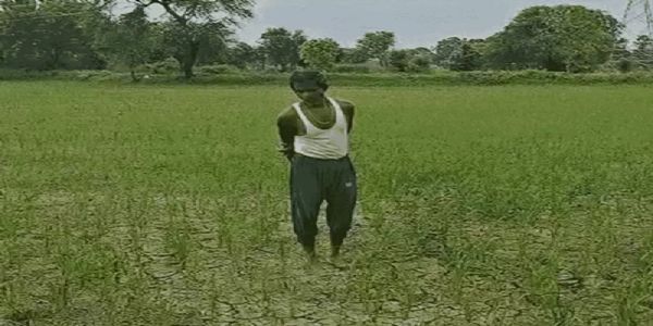 मध्य प्रदेश के 48 जिलों में बारिश का संकट, किसानों की बढ़ी चिंता, अब तक औसत से कम गिरा पानी
