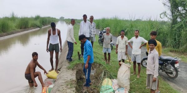 नाले की सफाई न होने से 50 बीघा धान की फसल जलमग्न, किसानों ने लगाया लापरवाही का आरोप