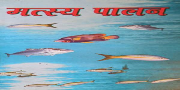 बिल्हौर में 54 तालाबों की 10 साल के लिए नीलामी 20 अगस्त को : मनीष कुमार